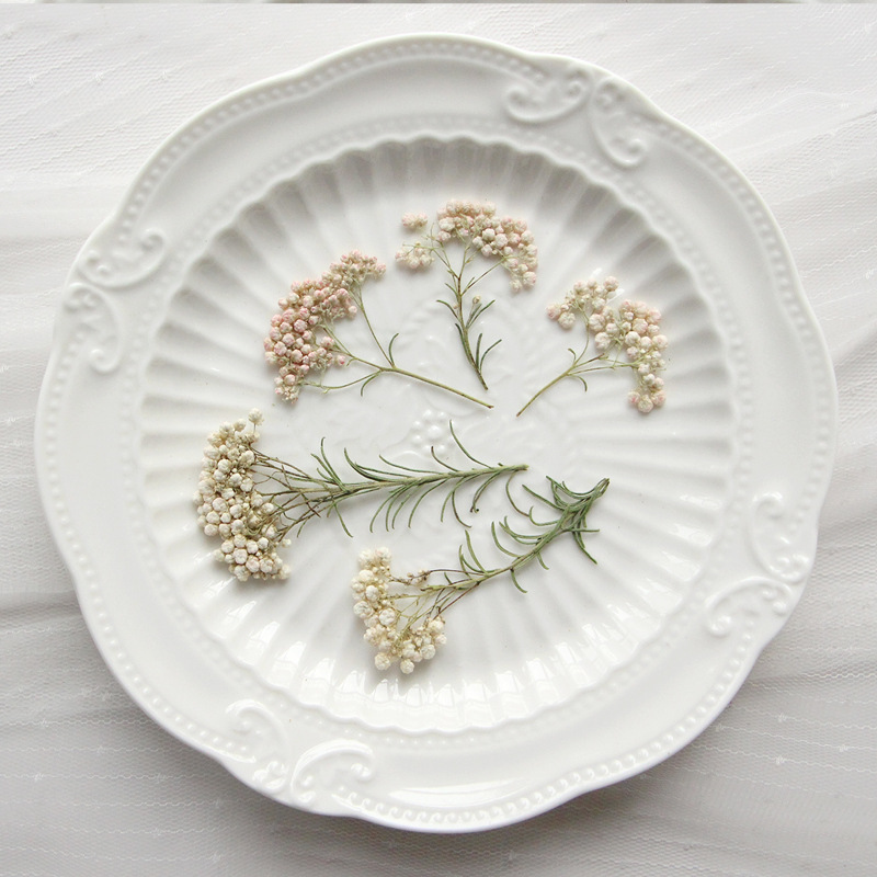 Dried Flower Pressed - 12 pièces, Branches de fleurs de