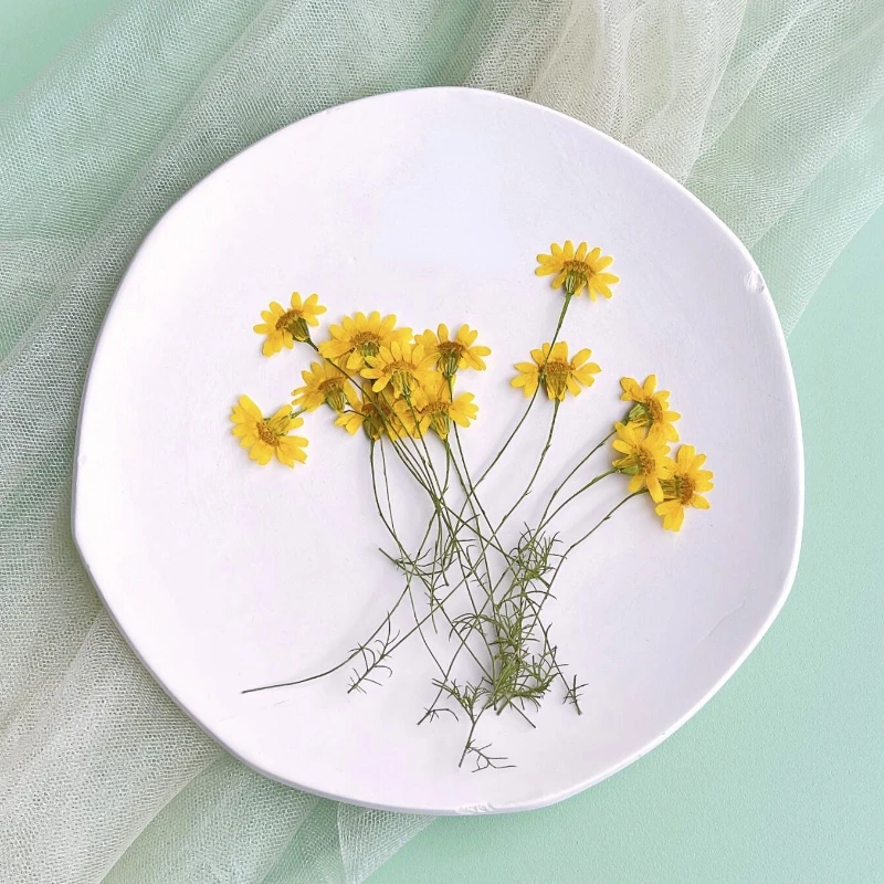 Dried Flower Pressed - 6-10cm/24 pièces, Chrysanthèmes pressés naturels, Branches