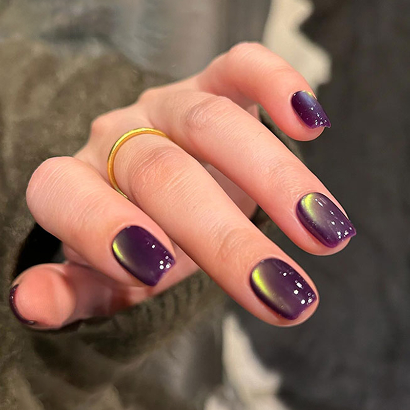BORN PRETTY 10ml Gel Magnétiqu - Resin Art Purple avis et prix