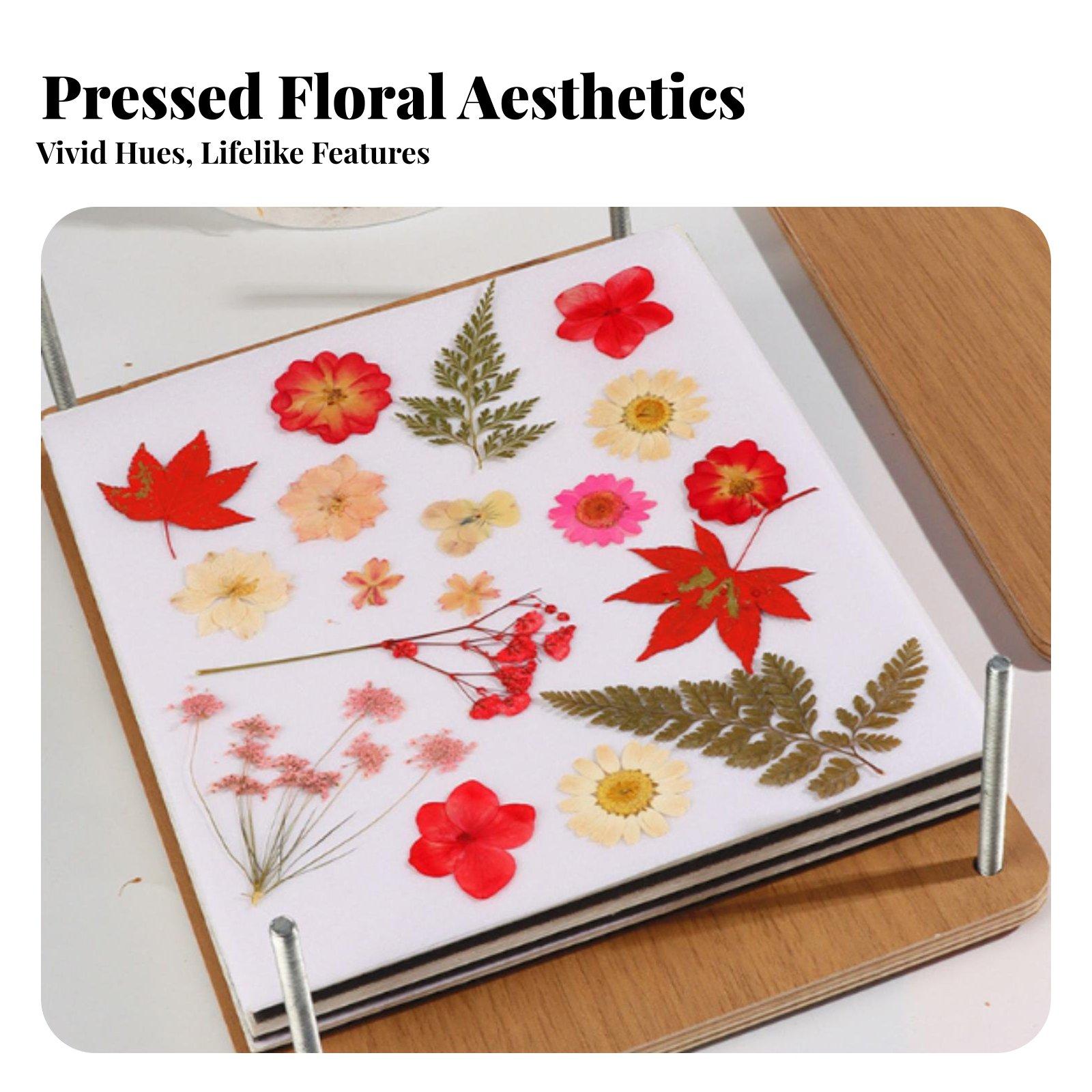 Kit de presse à fleurs botaniq - Dried Flower Pressed avis et prix