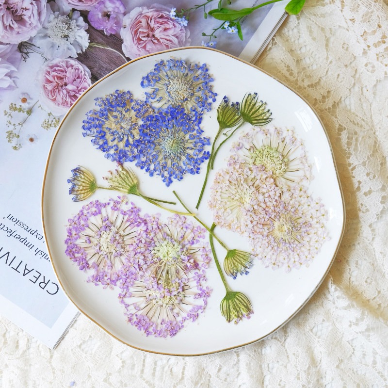 12 fleurs de perles d'émeraude - Dried Flower Pressed avis et prix