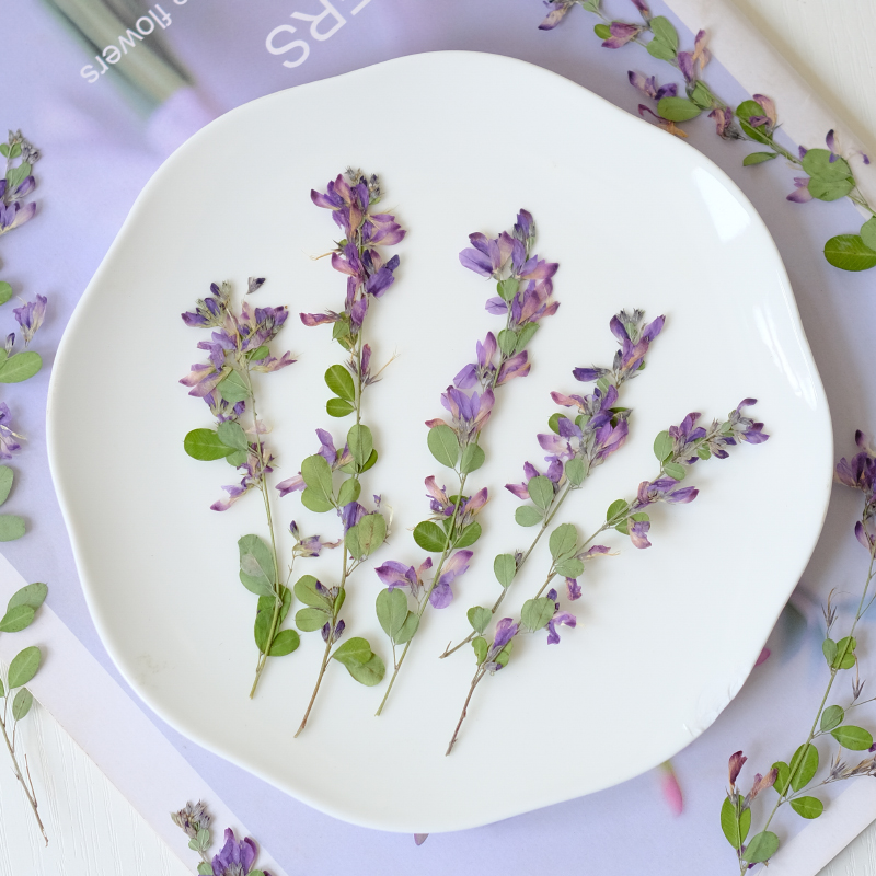 6 pièces, fleurs séchées press - Dried Flower Pressed avis et prix