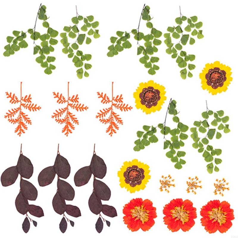 Fleur pressée séchée pour moul - Dried Flower Pressed avis et prix