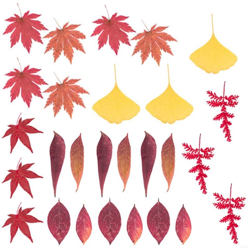 Fleur pressée séchée pour moul - Dried Flower Pressed avis et prix