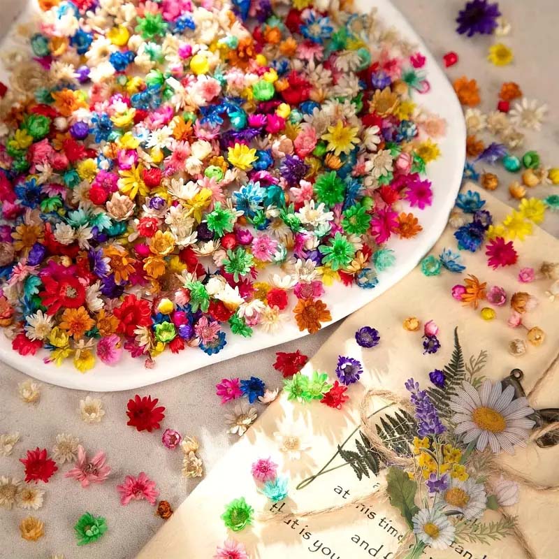 Fleur colorée mixte pour moula - Resin Art Design avis et prix
