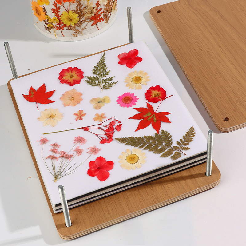 Kit de presse à fleurs DIY, en - Dried Flower Pressed avis et prix