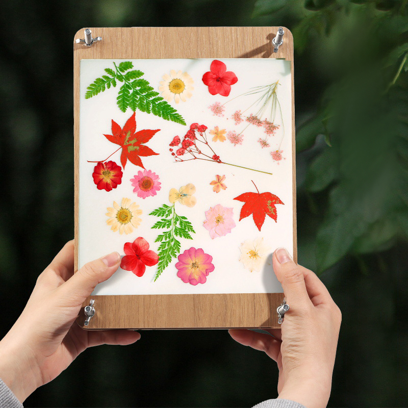 Kit de presse à fleurs DIY, en - Dried Flower Pressed avis et prix